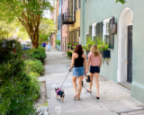 A Weekend In Charleston, SC With Kids